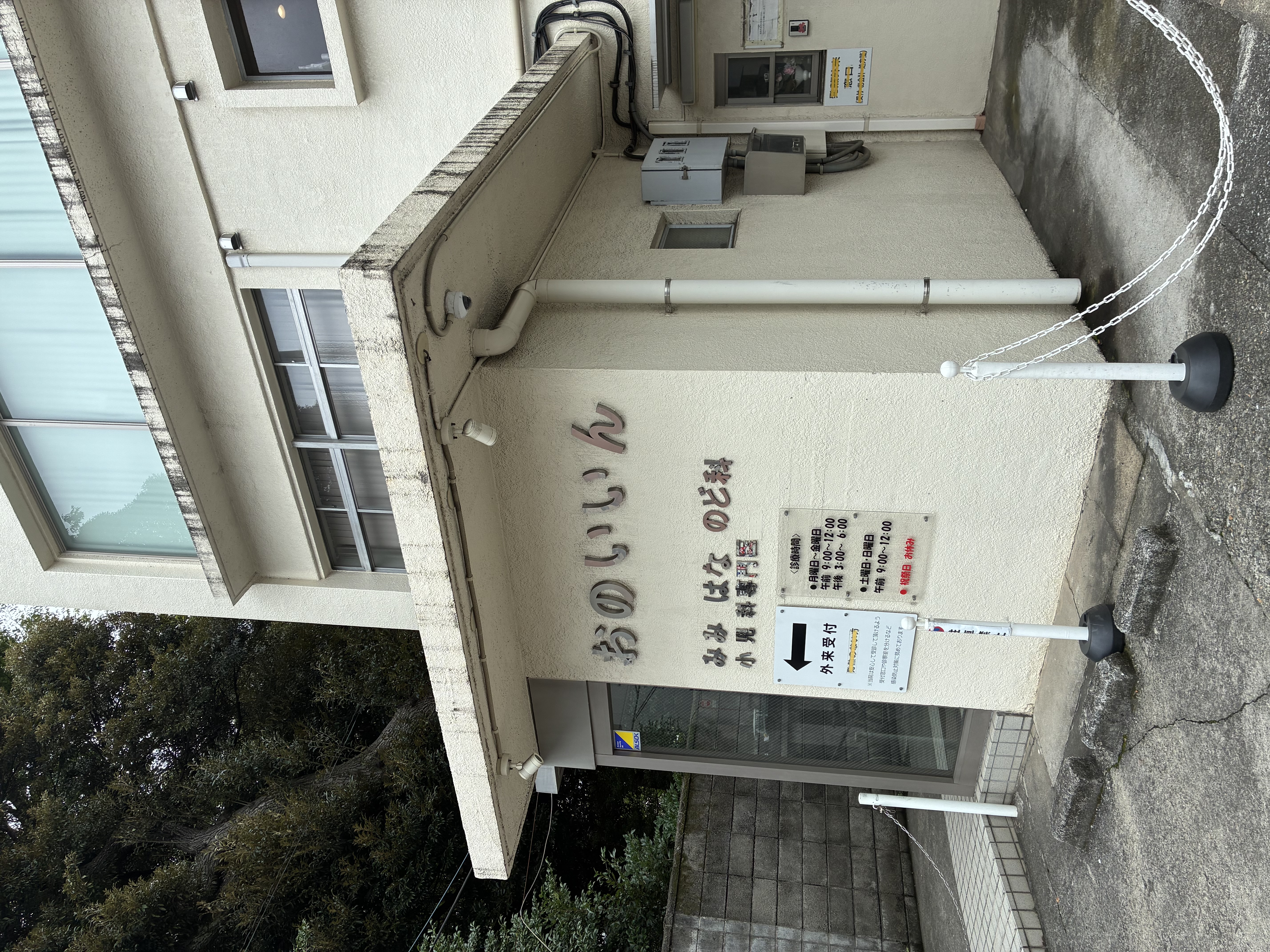 IMG_5929.jpeg